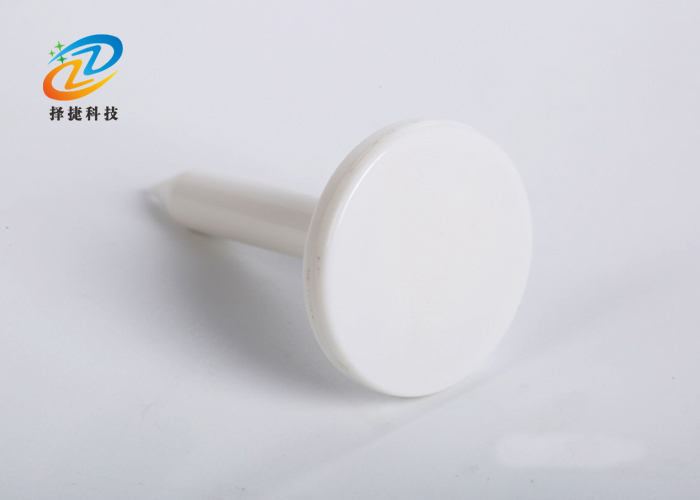 釘子電子標(biāo)簽ZJ-DZ013實拍展示圖二