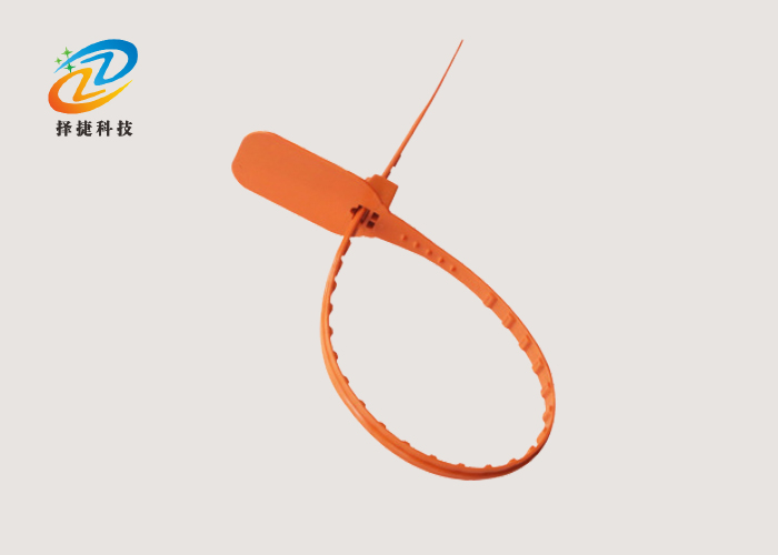 一次性塑料封條扎帶ZJ-PS119實(shí)拍展示圖一