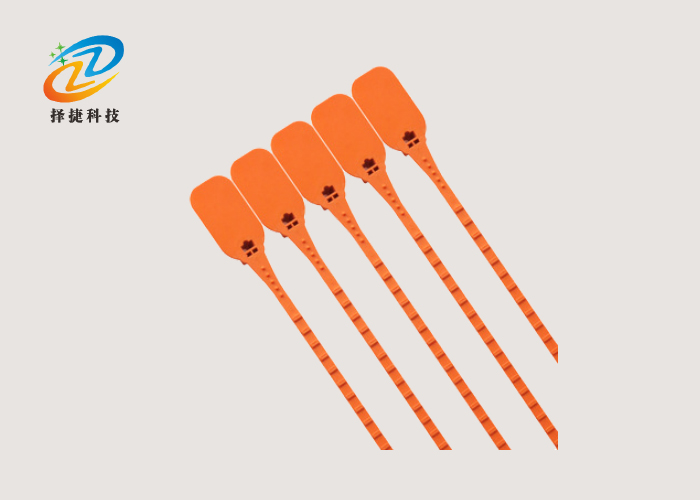 一次性塑料封條扎帶ZJ-PS119實(shí)拍展示圖二